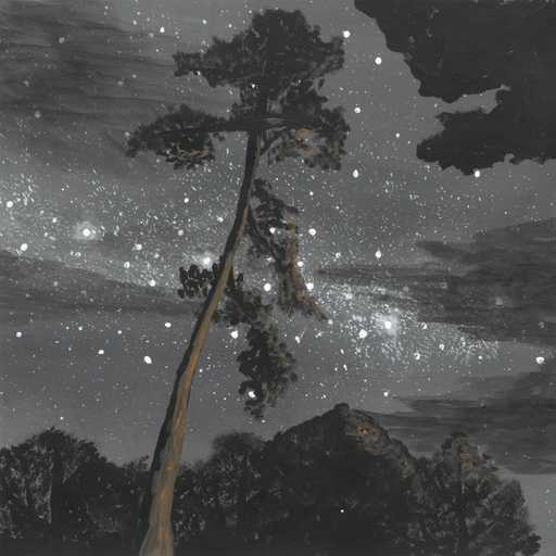 Where The Wild Things Whisper - nature soundscape - earth.fm