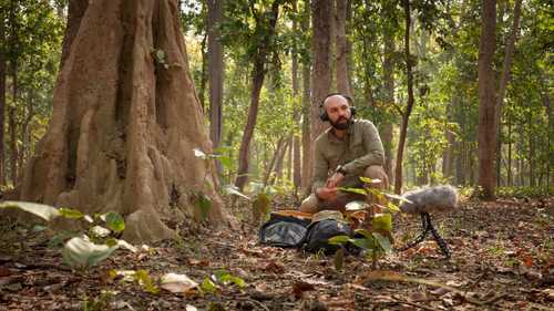 George Vlad: Full-time field recordist - earth.fm