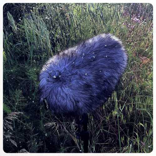 A personal note from Earth.fm curator Melissa Pons - earth.fm