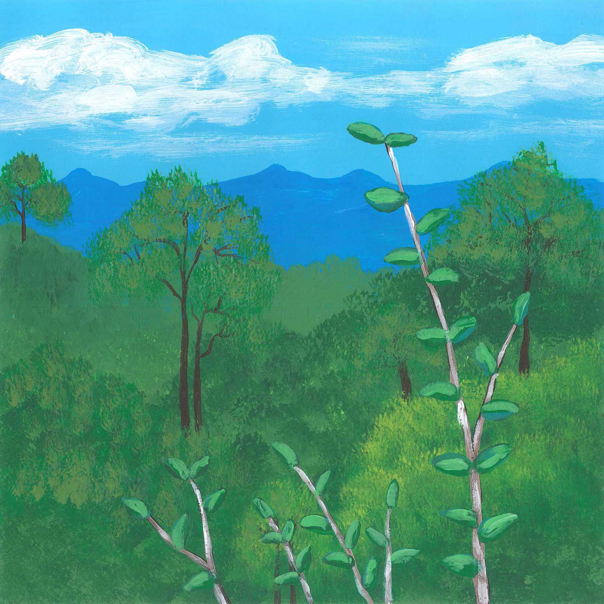 Montane Rainforest - nature landscape painting - earth.fm