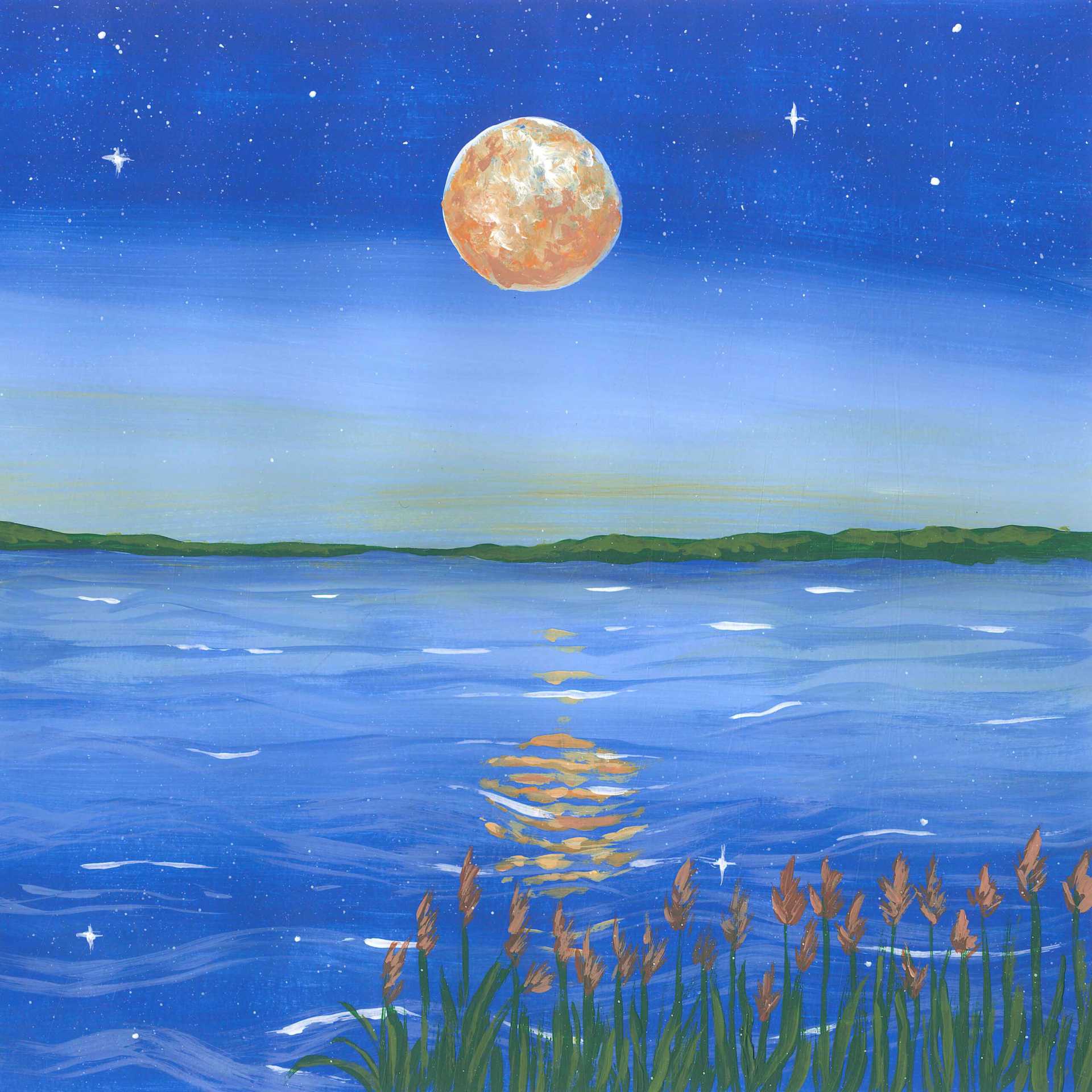 Loons at night - nature landscape painting - earth.fm