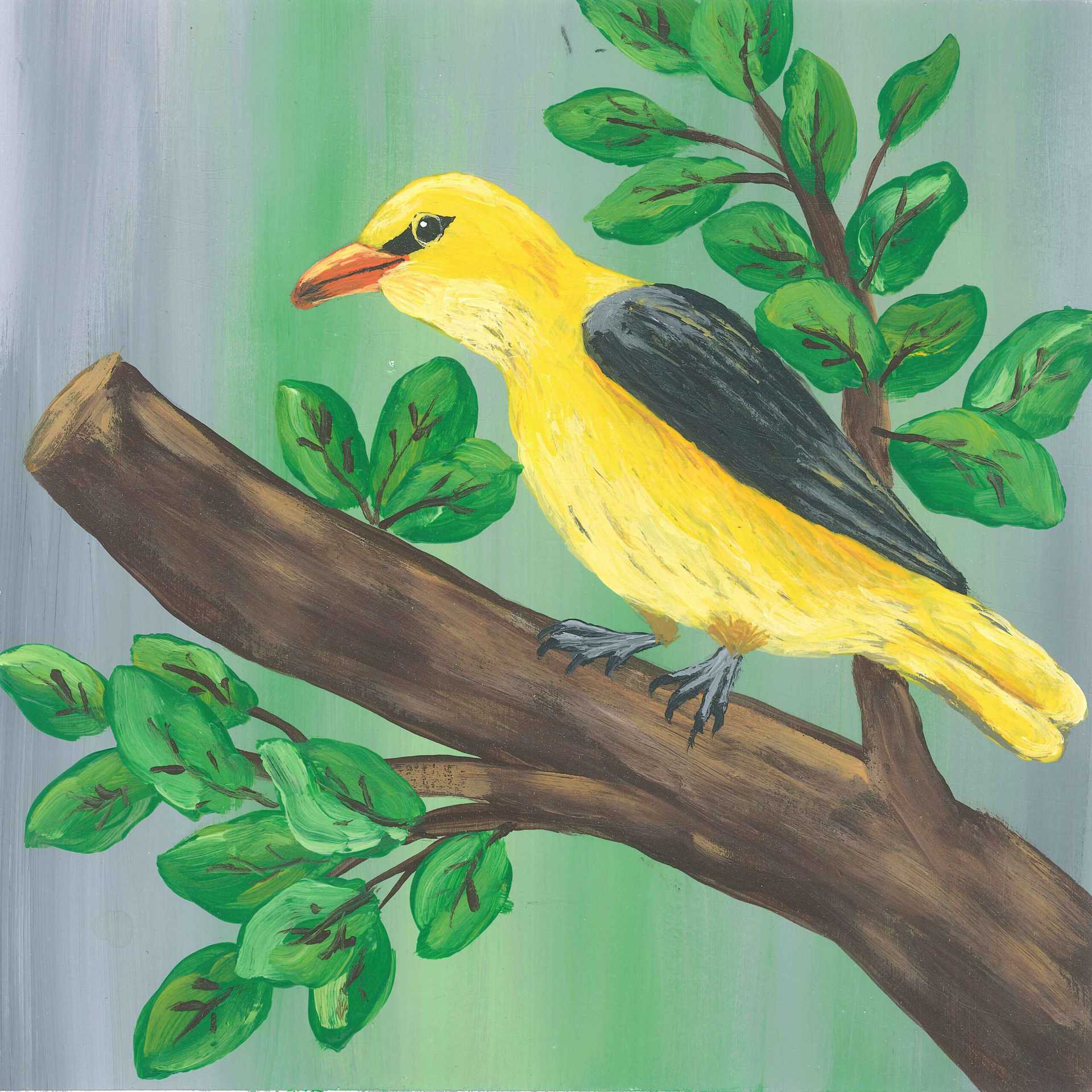 Golden Oriole Contact Call - nature landscape painting - earth.fm