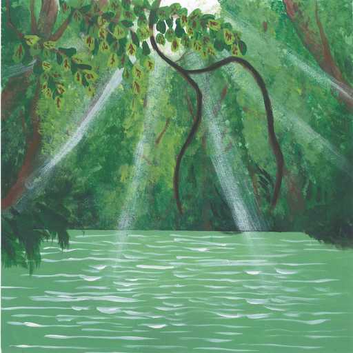 Sounds of the Daintree rainforest - nature soundscape - earth.fm