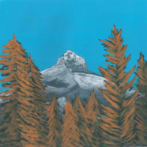 Pinsapo Forest Dawn - nature soundscape - earth.fm